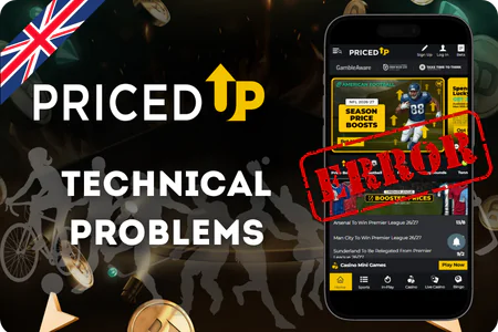 PricedUP Technical Problems